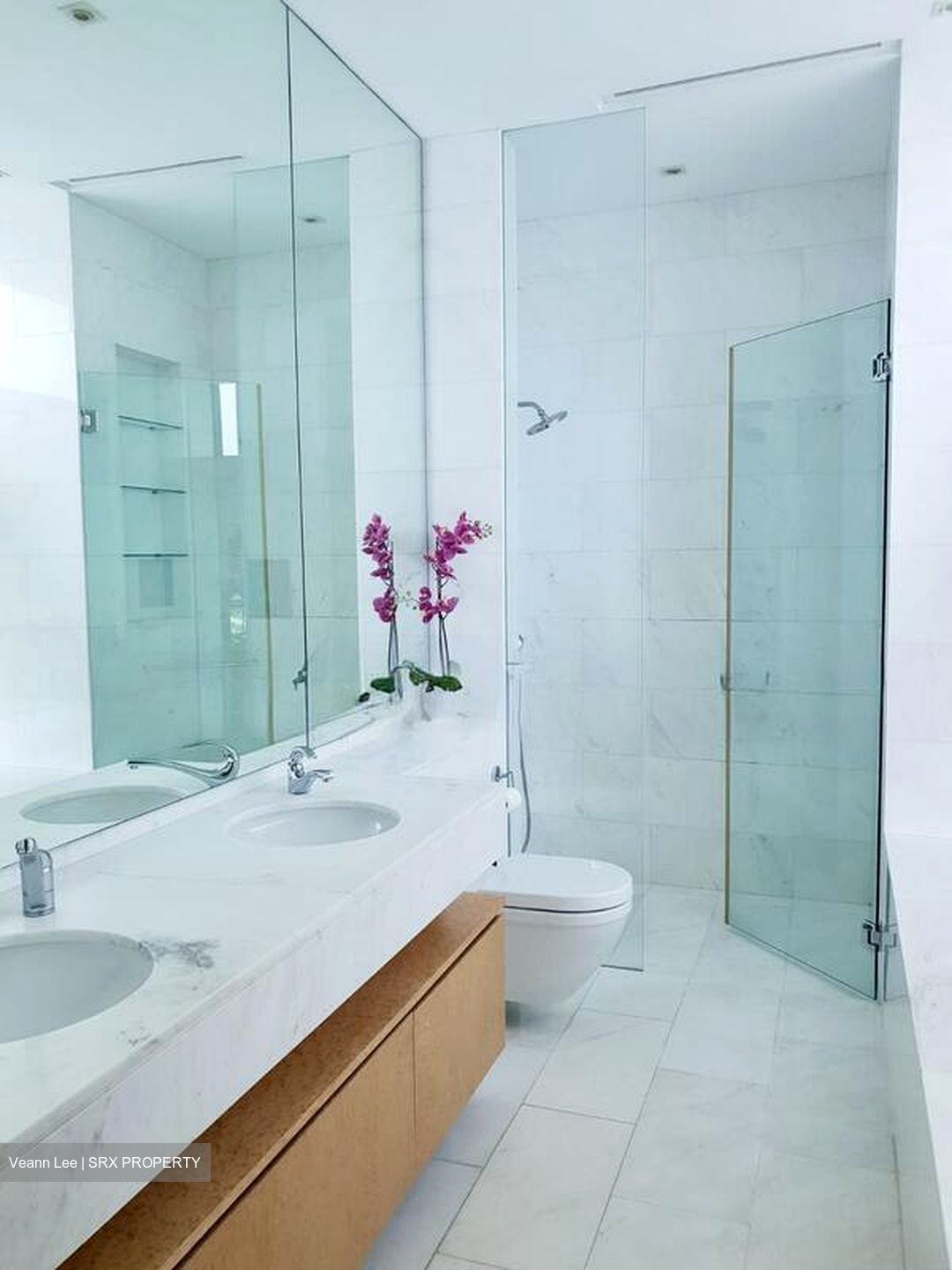 Belle Vue Residences (D9), Condominium #502715851